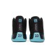 Jordan 12 Gamma Blue