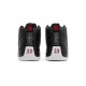 Jordan 12 Playoffs