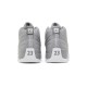 Jordan 12 Stealth