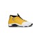 Jordan 14 Ginger