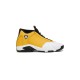 Jordan 14 Ginger