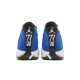 Jordan 14 Laney