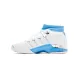 Jordan 17 Low SP UNC