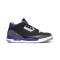 Jordan 3 Court Purple
