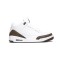 Jordan 3 Mocha