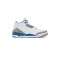 Jordan 3 Washington Wizards