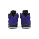 Jordan 5 Alternate Grapes