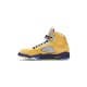 Jordan 5 What The