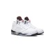 Jordan 5 White Cement