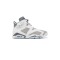 Jordan 6 Cool Grey