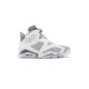 Jordan 6 Cool Grey