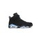 Jordan 6 UNC