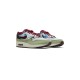 Concept x Air Max 1