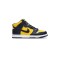 Dunk High Michigan