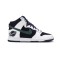 Dunk High Sports Specialities
