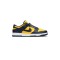 Dunk Low Michigan