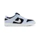 Dunk Low SB Aluminum
