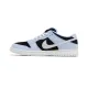 Dunk Low SB Aluminum