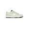 Dunk Low University of Oregon PE