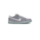 SB Dunk Low Marty McFly